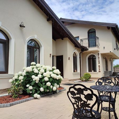 Villa Boutique Alina Déva Kültér fotó