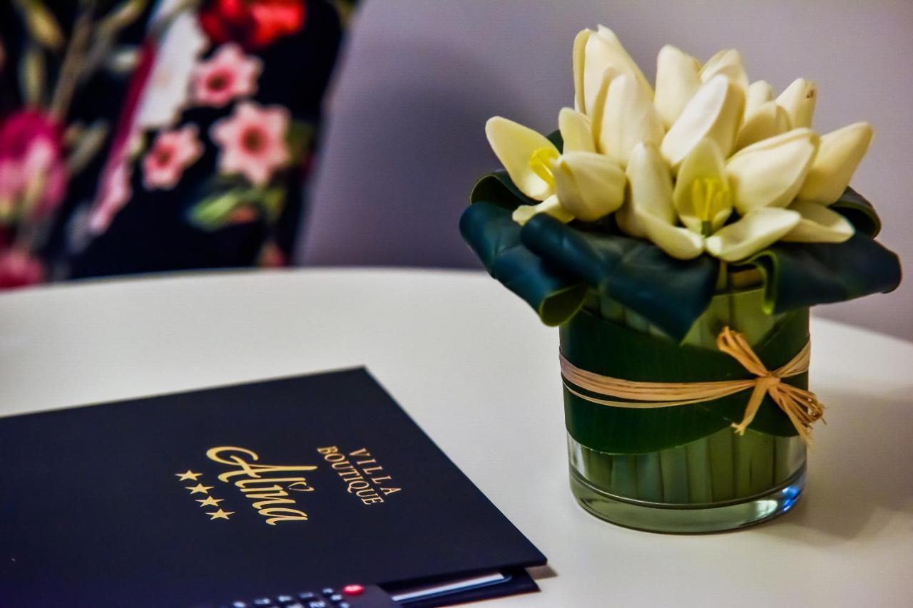 Villa Boutique Alina Déva Kültér fotó